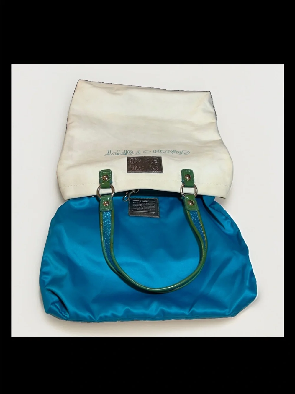 Coach Poppy-Chan “MINTY” Canvas Glam Tote, LIMITED EDITION 2009 Style: (14717)